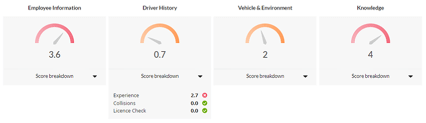 Driver risk assessment infographic