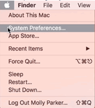 Apple System Preferences screenshot