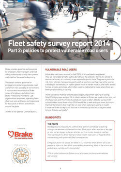 Fleet safety survey report 2014