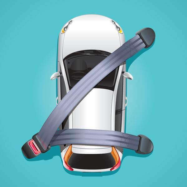 Seat belt law