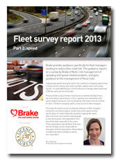 Fleet survey report 2013