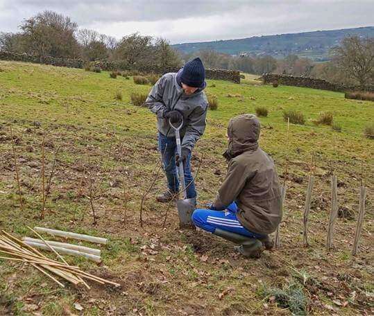 Make it Wild tree planting